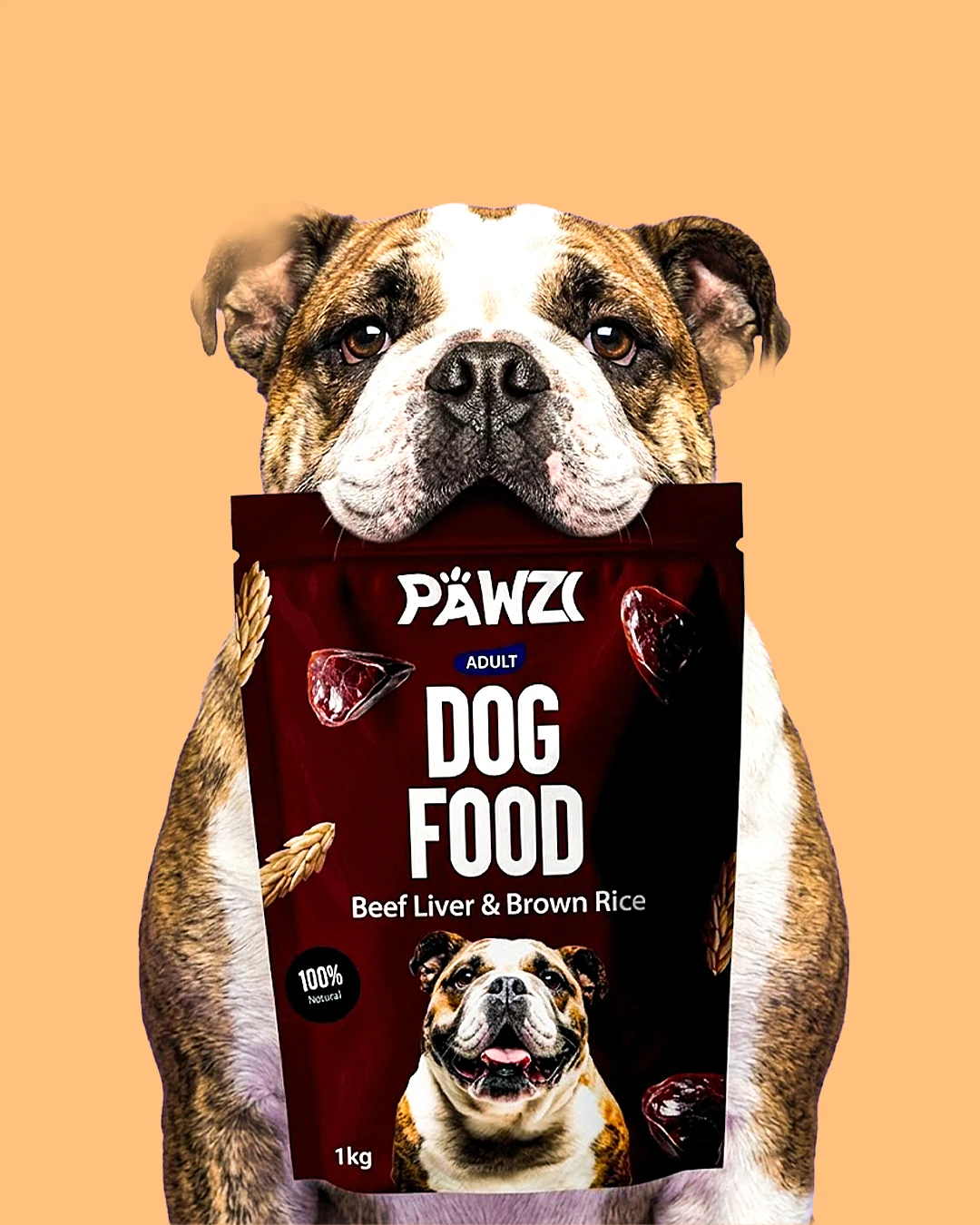 Pawzi Dog Food Package design image 7